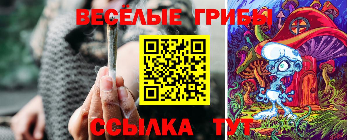 Псилоцибиновые грибы мухоморы Барнаул