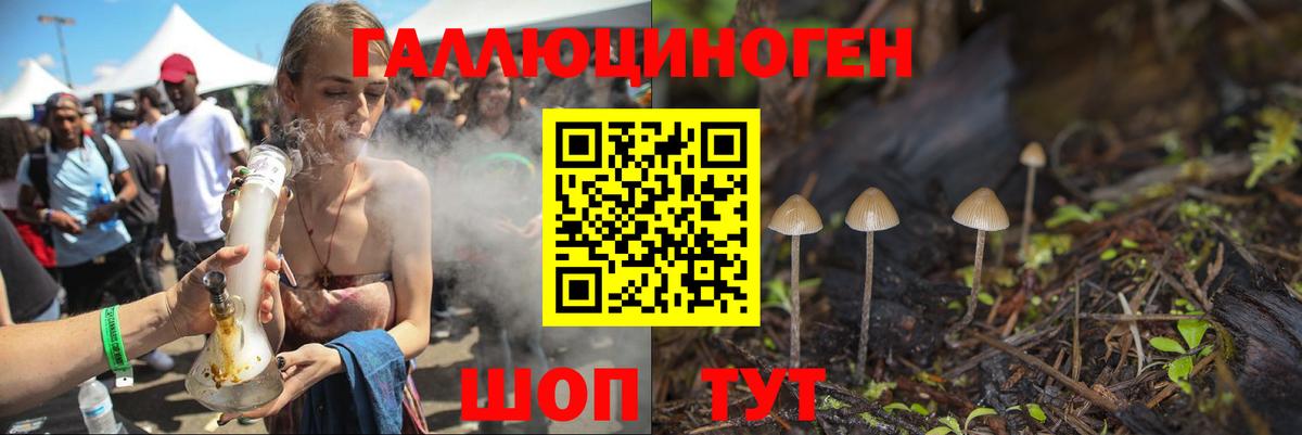 Псилоцибиновые грибы Psilocybe  Вход с VPN  Барнаул 